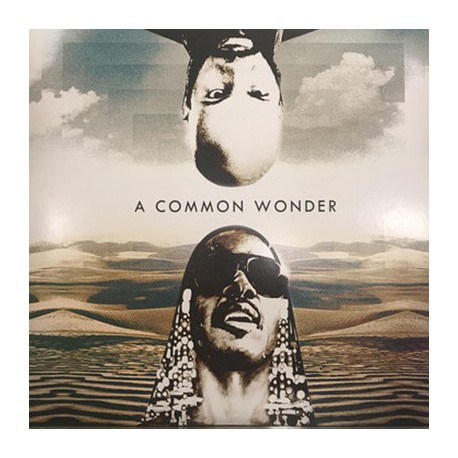 COMMON / WONDER Stevie / AMERIGO GAZAWAY : LPx2 A Common Wonder