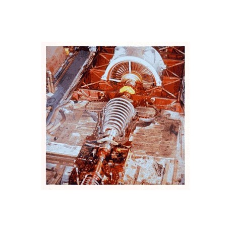 SUDDEN DEATH OF STARS : LP Getting Up, Going Down