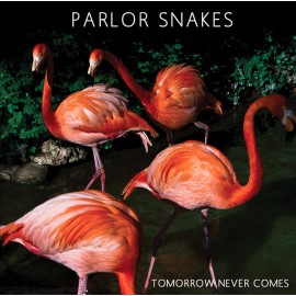PARLOR SNAKES : MP3 7" Tomorrow Never Comes