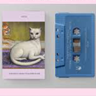 MITSKI : K7 Nothing's About To Happen To Me