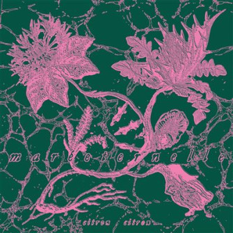 CITRON CITRON : LP Maréeternelle